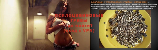 дмт Белокуриха