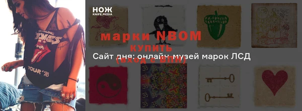 дмт Белокуриха