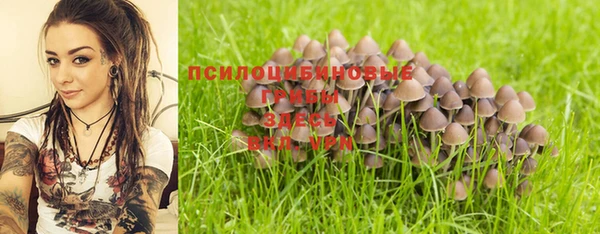 дмт Белокуриха