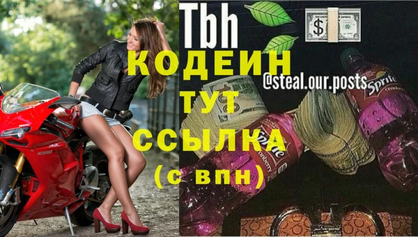 дмт Белокуриха
