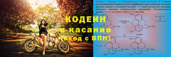 дмт Белокуриха