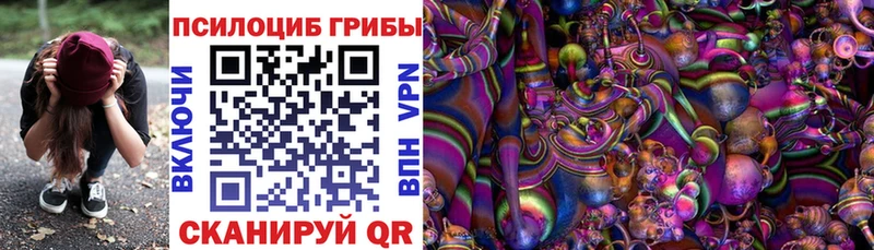 omg ссылка  Ворсма  Галлюциногенные грибы прущие грибы  купить  