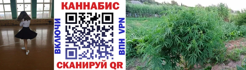 где купить наркоту  Ворсма  Бошки Шишки AK-47 